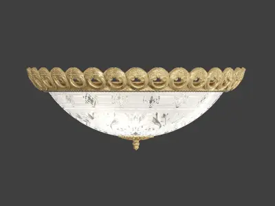 Wall and ceiling lamp Odeon Light Grovana 3D model