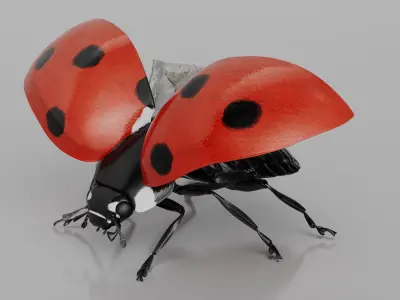  Flying Ladybug Animated Rigged for Maya 