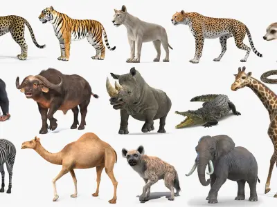  African Animals Rigged Collection 12 