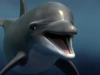  Dolphin Bottlenose Rigged 