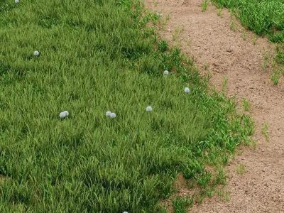 Grass For Landscaping Exterior 02 3D model