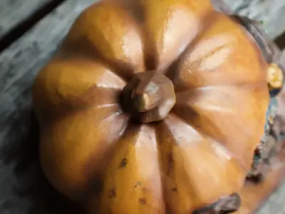 Pumpkin Cottage 3D print model