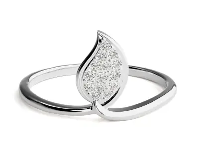 Ring - 78 3D print model