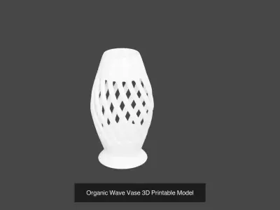 Modern Vase Collection 3D Printable Decorative Set 3D Model Pack