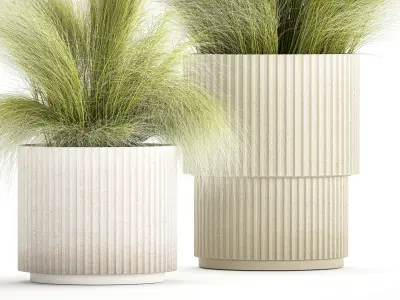 Beautiful Bushes and Stipa Feather Grass flower pot for decor 3D model