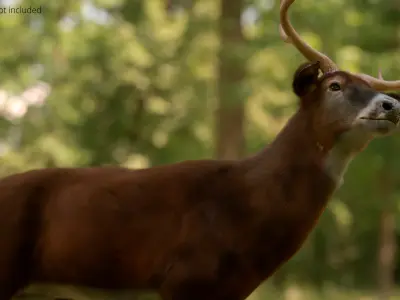  Virginia Deer Fur Rigged For Blender 