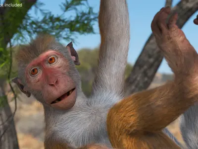  Wild Rhesus Monkey Light Brown Fur Rigged 