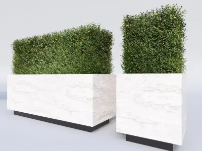 Hedge in a Box 3D model