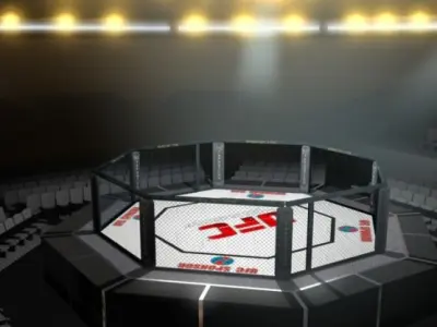 UFC Style Octagon Fighting Arena 3D model