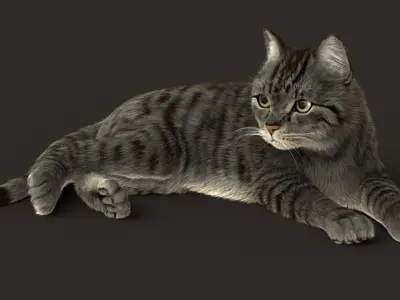  Cat (2) (Grey Tabby) (ANIMATED) (FUR) 