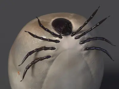  Parasites Rigged Collection 2 for Maya 