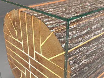 Reception Desk - Sliced Log In Glass Box With Inner Lights 3D model