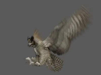  Great Horned Owl Animated 
