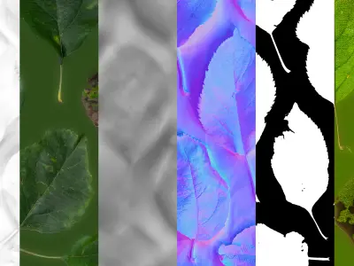 Garden trees leaves atlases Texture