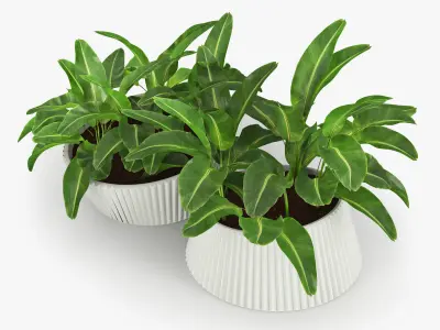 LENA Banana 3D model