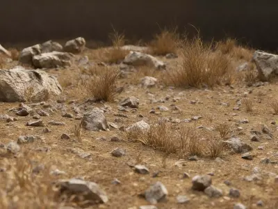 Gobi Desert Wild Grass Survival Ground 3D model