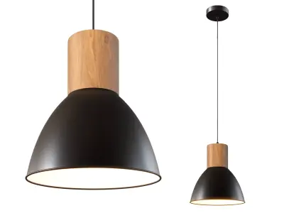 Elyona Industrial Pendant Light 3D model
