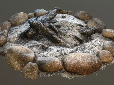 Campfire UE4-Ready Low-poly 3D model