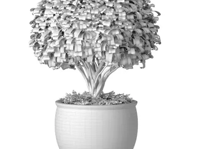 Decorative tree in an Italian vase Indoor plant 3D model