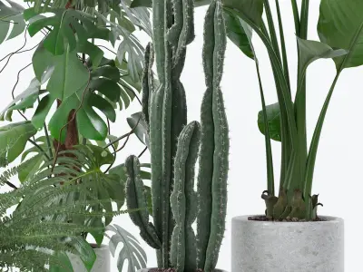  20 Photorealistic Flowers for Interiors - set 118- 121- 125- 128 3D Model Collection 