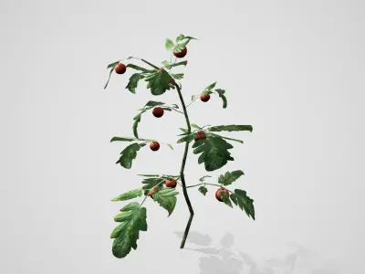 Tomato bush Low-poly 3D model
