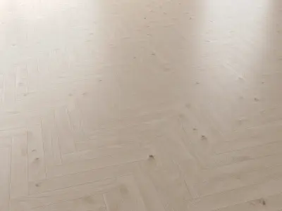  Parquet Oak Arctic NEW Brushed set 2 3D model