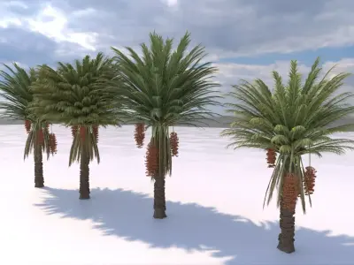 4 Stylized Date Palm Tree Variations  Low-poly 3D model
