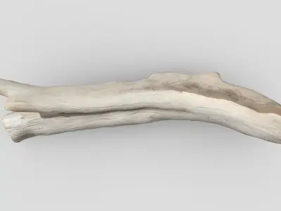 Dead Wood 4 Low-poly 3D model