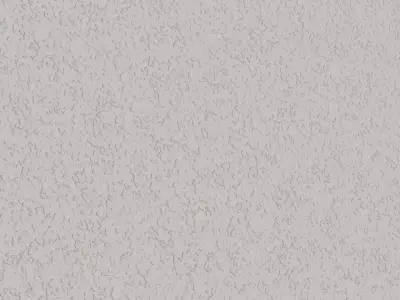 Fine Grain White Stucco Plaster Texture