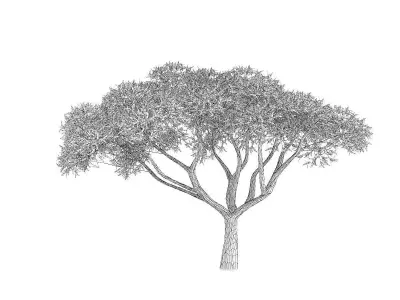 Thorn Tree 3D model