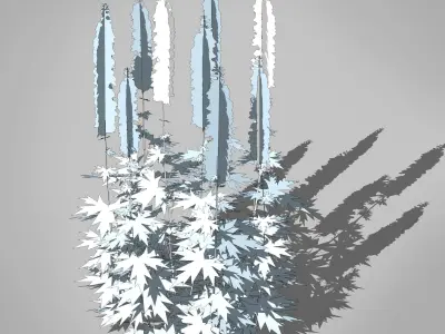 Plant Delphinium Low-poly 3D model