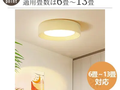 Japanese Minimalism Ceiling Lamp Free 3D model