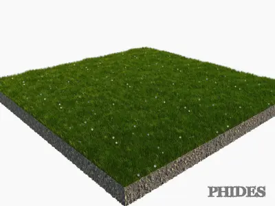 Daisies meadow patch 1 3D model