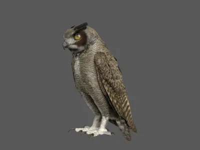  Great Horned Owl Rigged 
