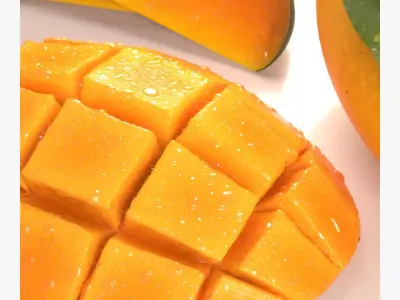 Mango cubes slice 3D model