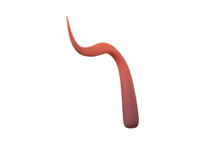 Cartoon Tentacle V1 001 Low-poly 3D model