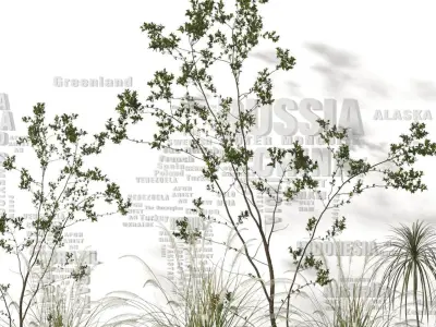 landscape Modern sketch Texture