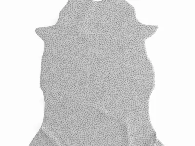 Zebra Gray Rug 3D model