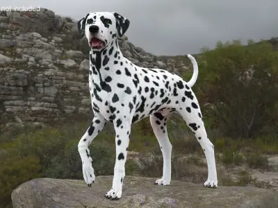  Dalmatian Dog Fur Rigged 