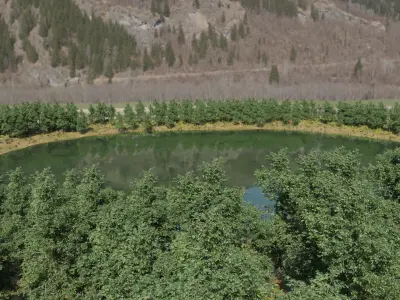 Forest Lake Oasis 3d scene 3D model