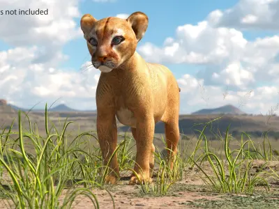  Puma Cub Clawing Motion Animated Rigged 