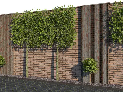 Brick Fence With Pleached Trees 3D model