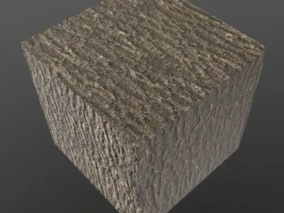 Tree Material Texture