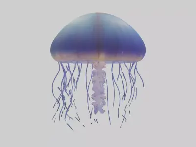 Jellyfish floating model Low-poly 3D model