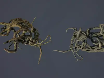 Roots PBR v2 Low-poly 3D model