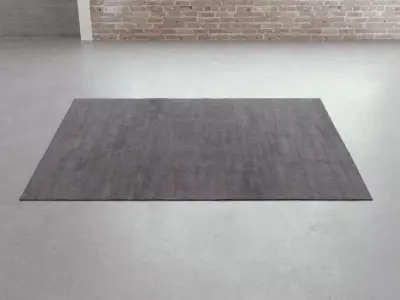 Thaila Plain Carpets 3D model