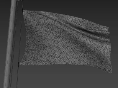 Pirate Flag 3D model