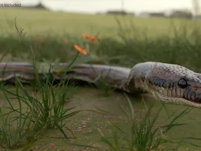  Python Snake Rigged For Blender Animated Set 