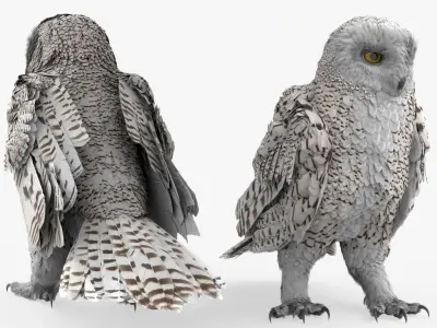 Arctic Snowy Owl Take Off Animated Rigged For Blender 