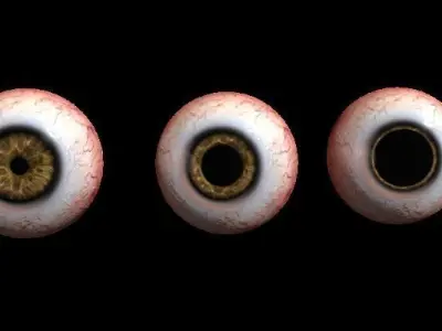Eye Human Low-poly 3D model